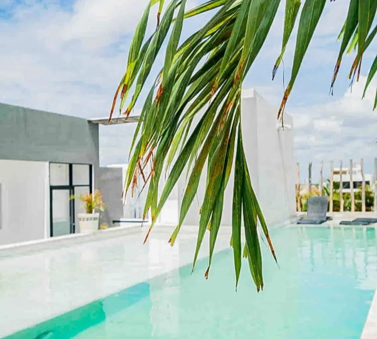 Joya De La Zazil 20 Av Rooftop Pool Walk To Playa Mamitas Coco Beach & 5 Playa del Carmen Apartment
