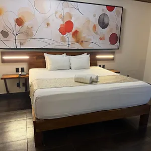 4* Hotel Kavia 5th Avenida (adults Only)